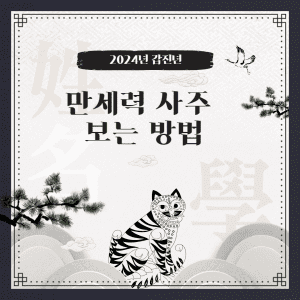 만세력 사주 보는 방법