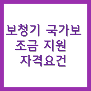 보청기 국가보조금 지원  자격요건