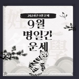 2024년 9월 운세 병일간