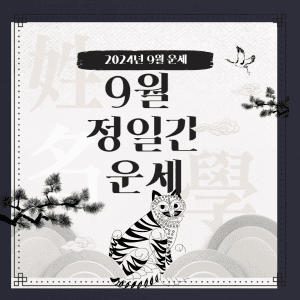 2024년 9월 정일간 운세