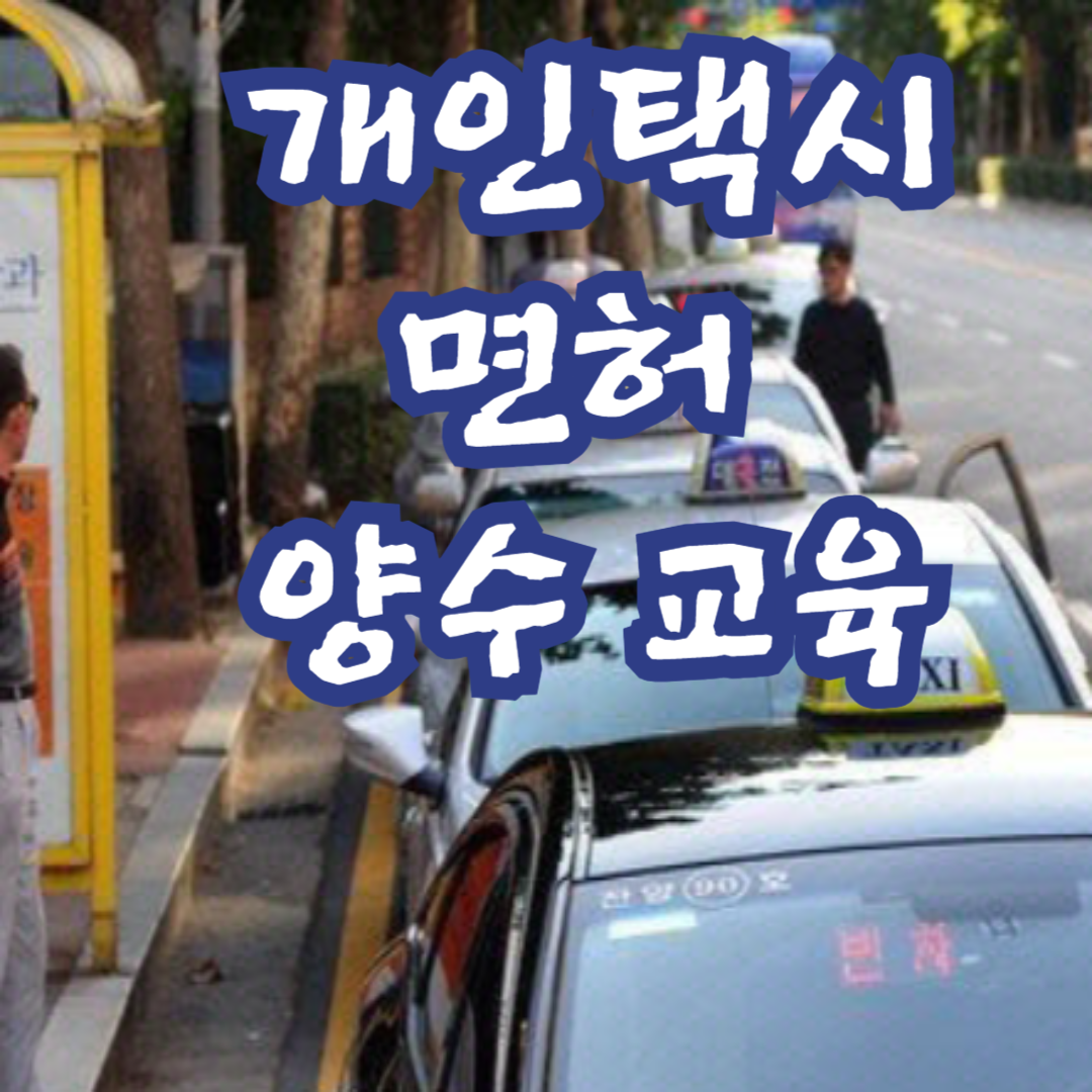 개인택시 면허 양수 방법 | bisangstory
