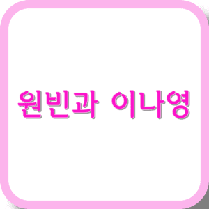 원빈과 이나영