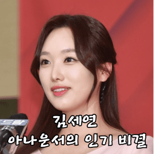 김세연  아나운서의 인기 비결