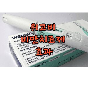 위고비 비만치료제 효과