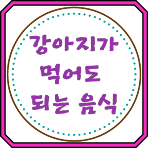 강아지가 먹어도 되는 음식