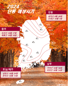영주 부석사 가을 단풍 시기