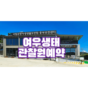 여우생태관찰원예약