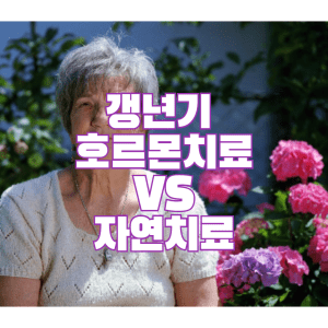 갱년기 호르몬 치료VS 자연치료