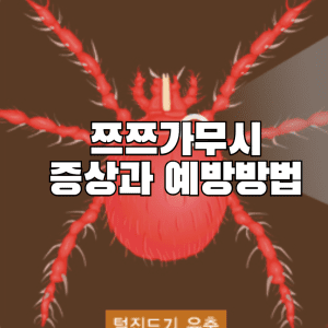 쯔쯔가무시 증상과 예방방법