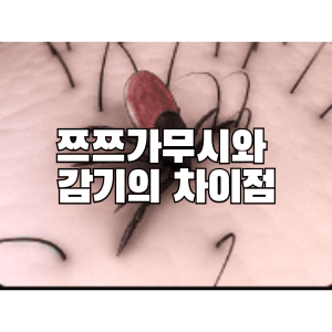 쯔쯔가무시와  감기의 차이점
