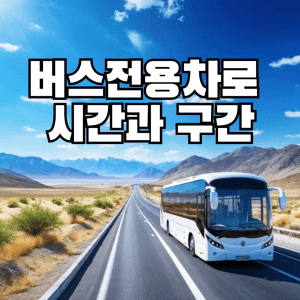 버스전용차로 시간과 구간