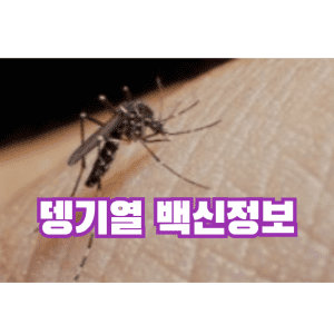 뎅기열 백신 정보